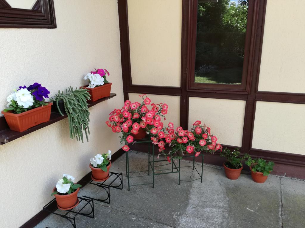 Stara Breza 1 Rooms Palic Bagian luar foto
